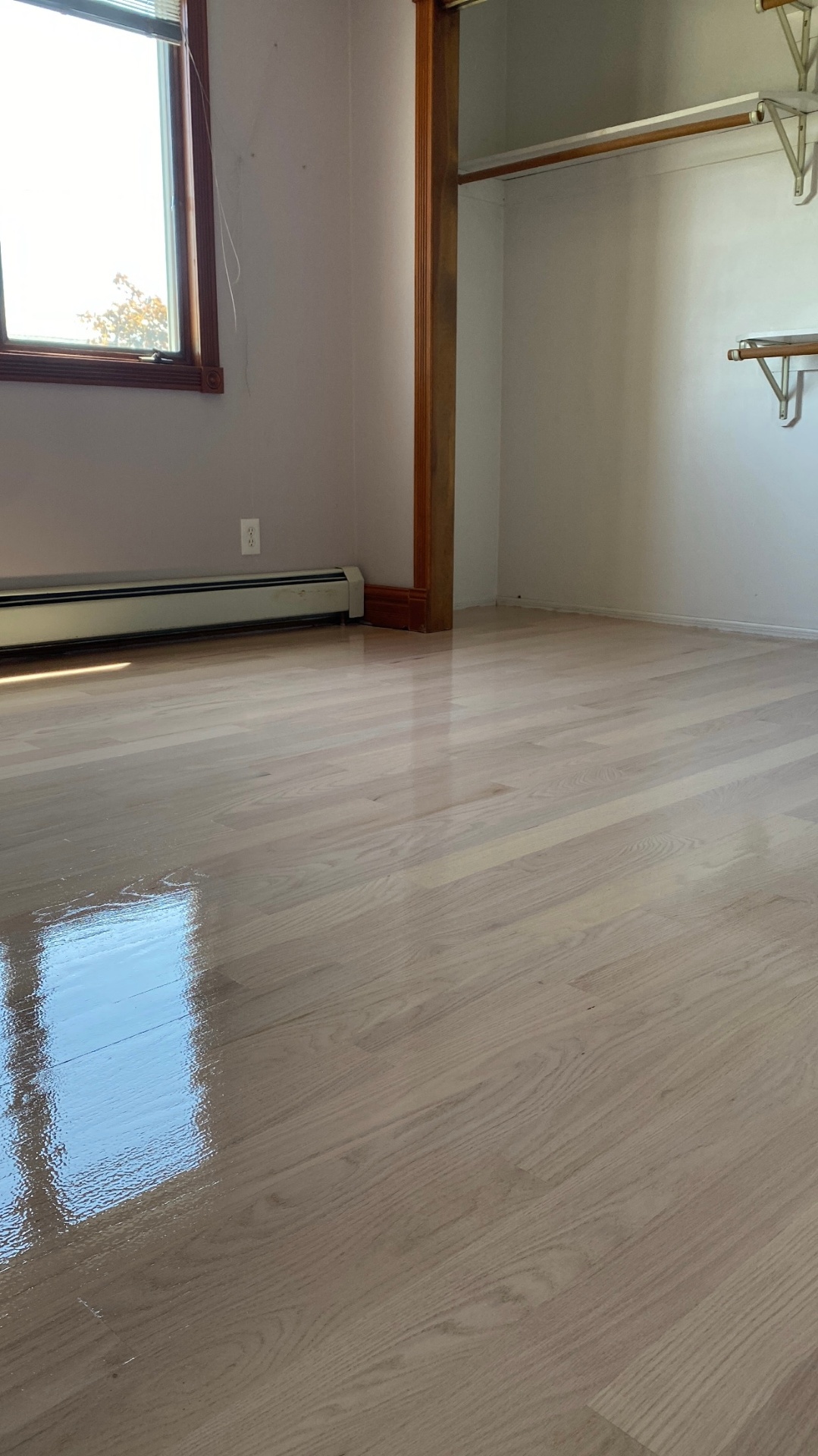 Refinished oak floor with glossy topcoat